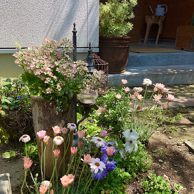 green.green.greenさんの実例写真
