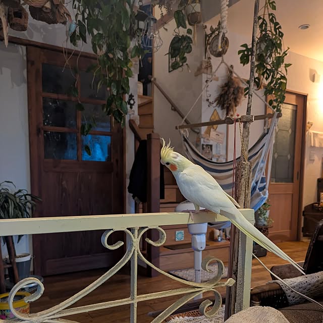akiさんの部屋