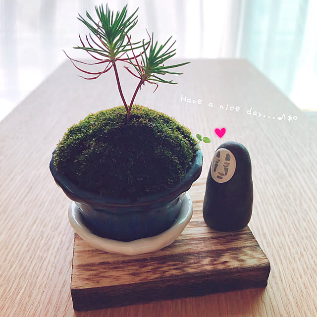 mangoさんの実例写真