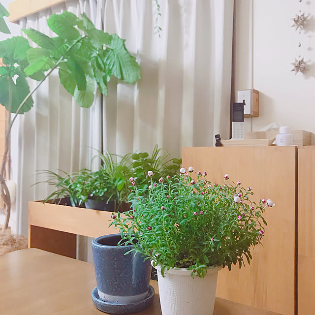 yukaさんの実例写真