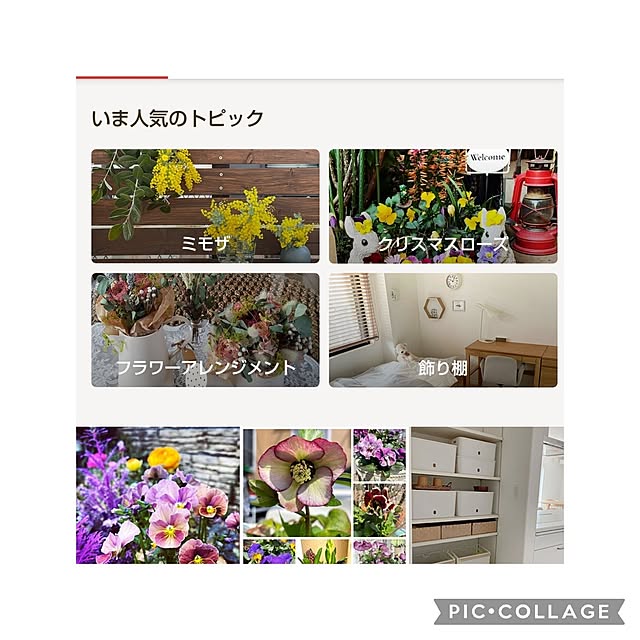 yumiyumiさんの実例写真