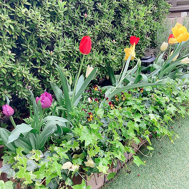 norikoko310さんの部屋