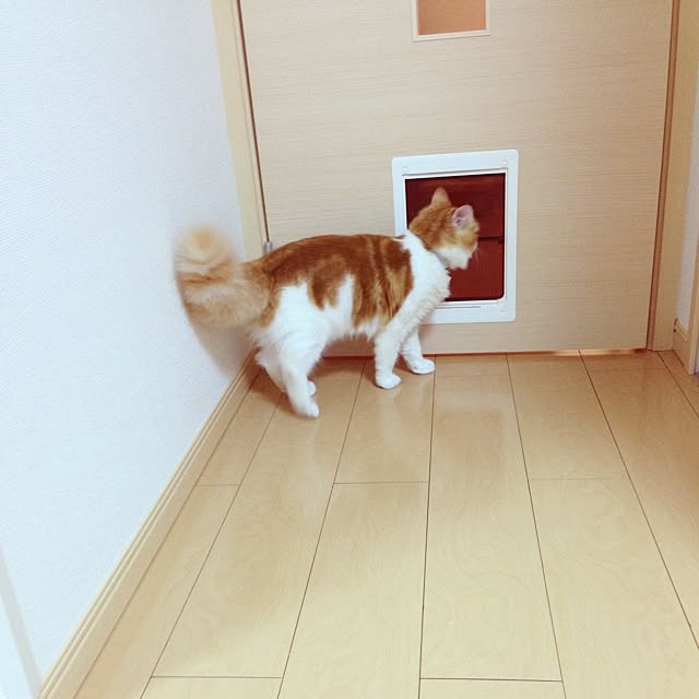 sogawakanaさんの実例写真