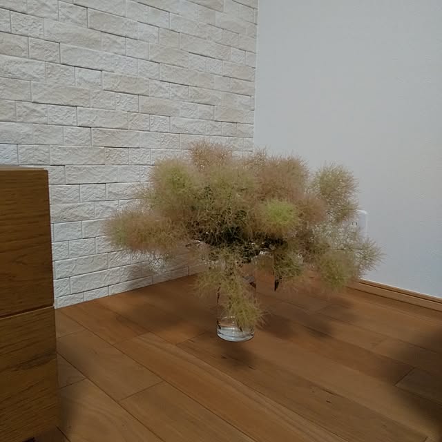 anemone37さんの部屋