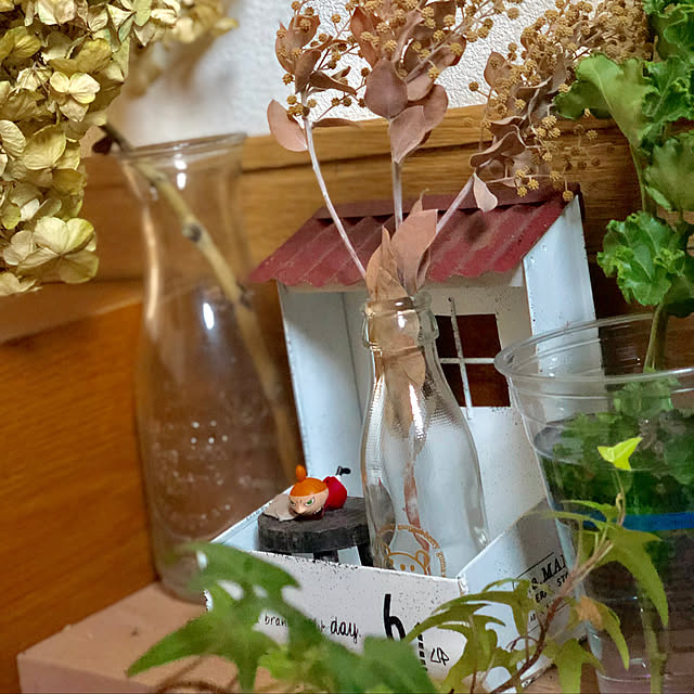 ミィ/観葉植物/ダイソー/雑貨/ドライフラワー...などのインテリア実例 - 2019-08-08 18:28:35