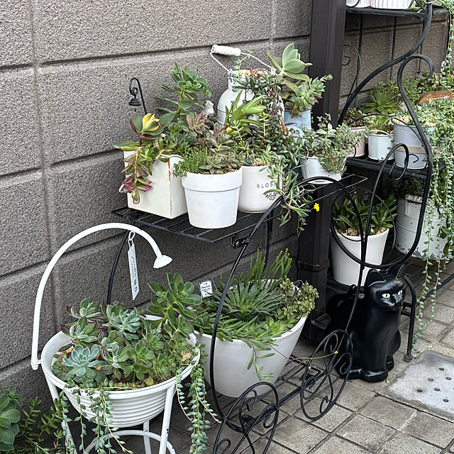 momocchiさんの部屋