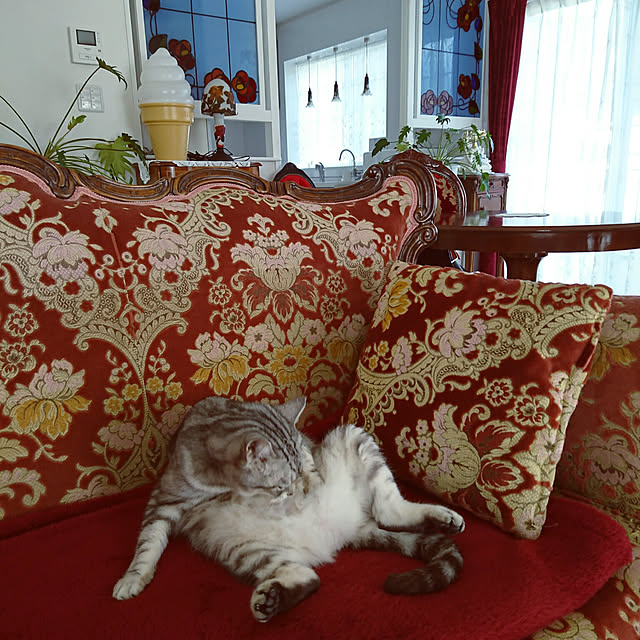 vol.1696写真