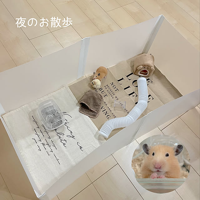 Minoriさんの実例写真