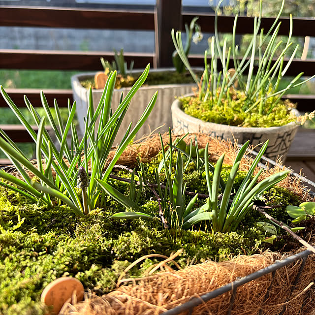 kyoko1124koさんの部屋