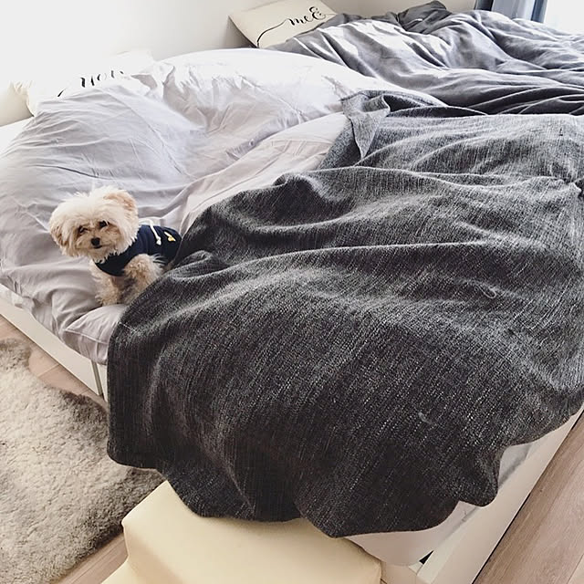 pinkittyさんの実例写真