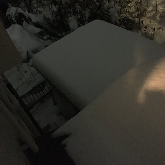 dainaoreiさんの実例写真