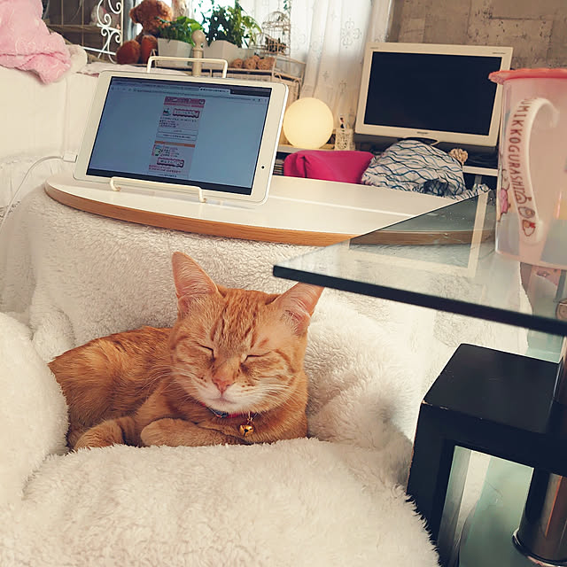 asuminさんの実例写真