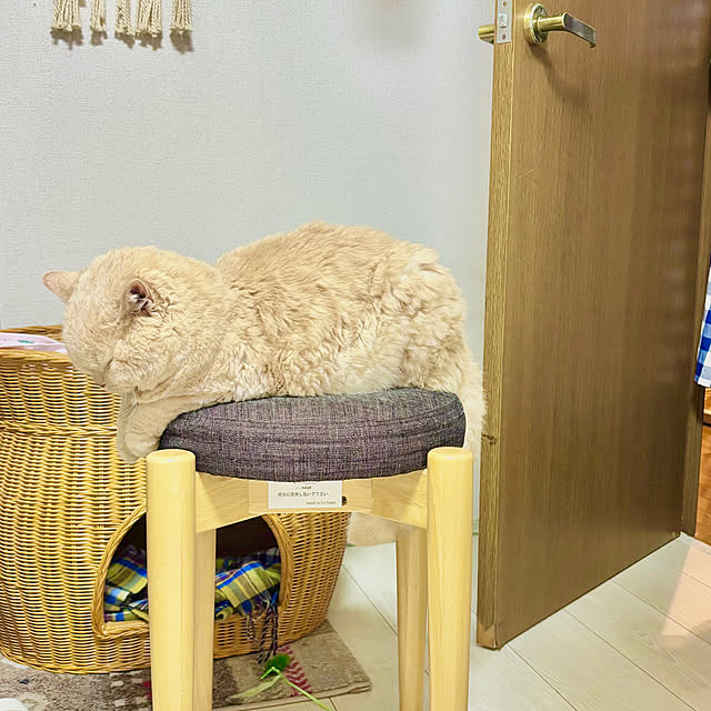 naokoさんの実例写真