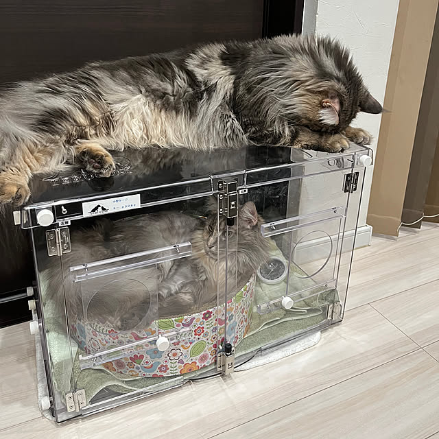 mayumiさんの部屋