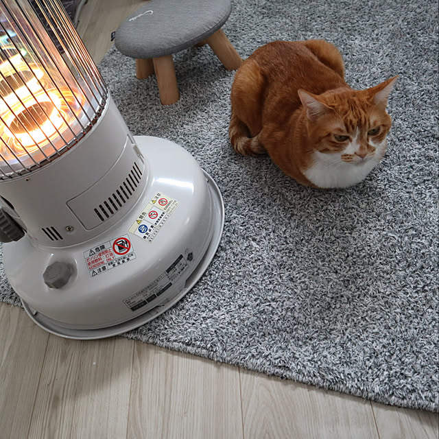 myuuさんの実例写真