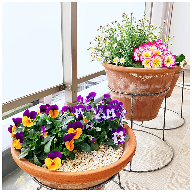 ksfioriさんの実例写真