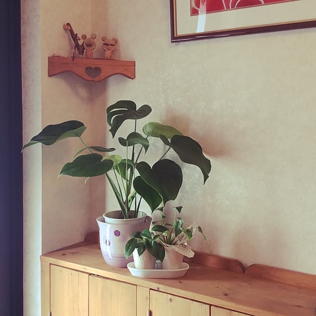 玄関/入り口/観葉植物/DIYのインテリア実例 - 2015-10-09 08:57:49