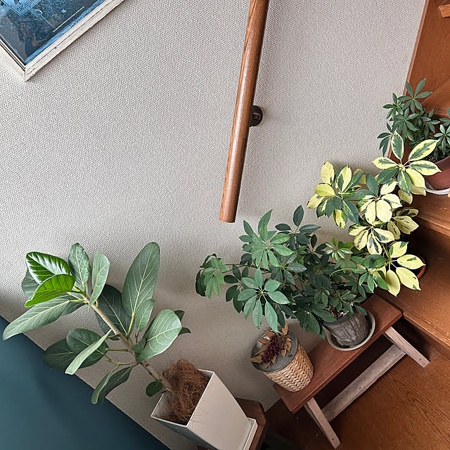 pirokoさんの実例写真