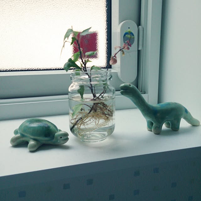 konayukiusagiさんの実例写真
