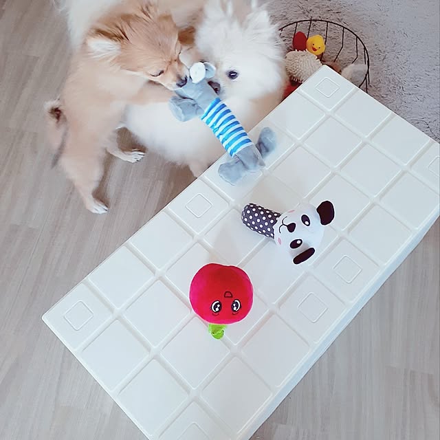 noahさんの実例写真