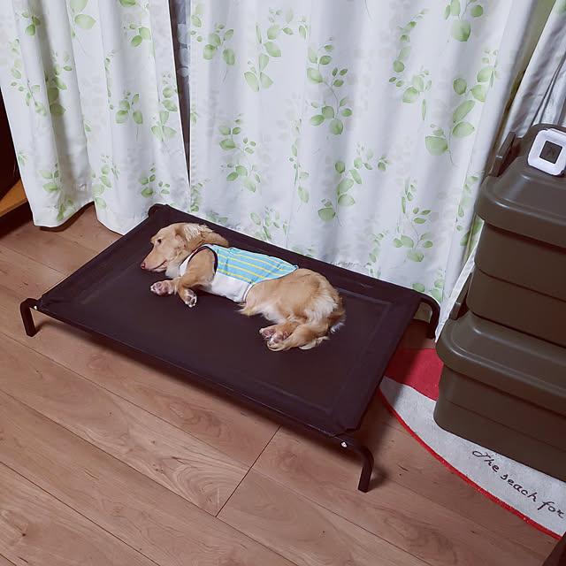 ciiiさんの実例写真