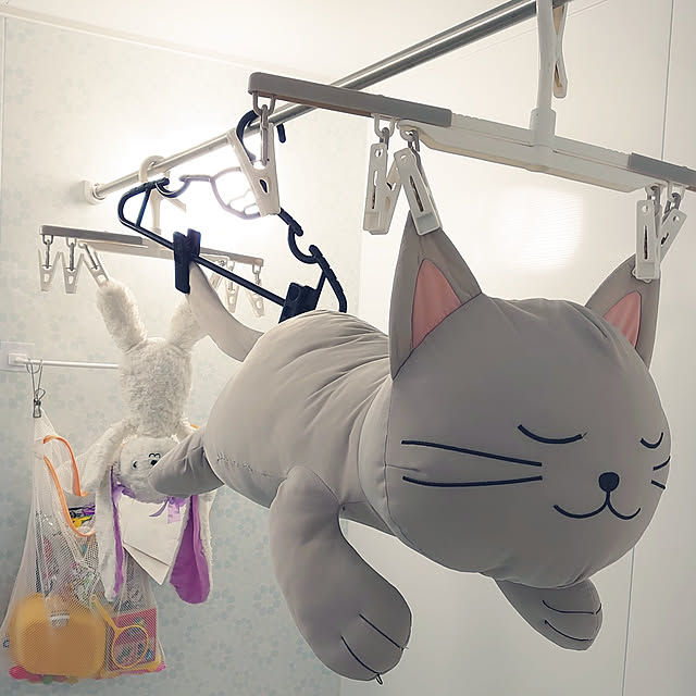 kiyoさんの実例写真