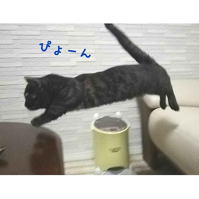 tomatoさんの実例写真