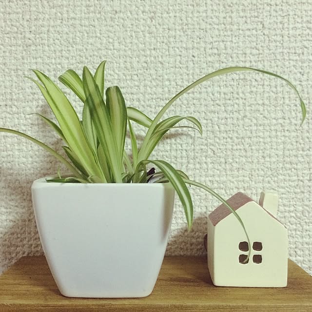 machanさんの実例写真