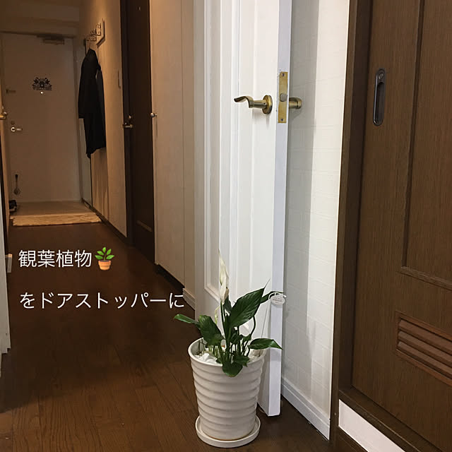 akezouさんの実例写真