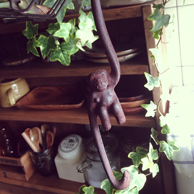 ohanaさんの実例写真