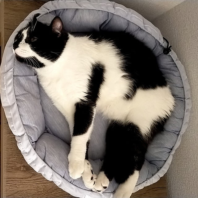 nnk.akさんの実例写真