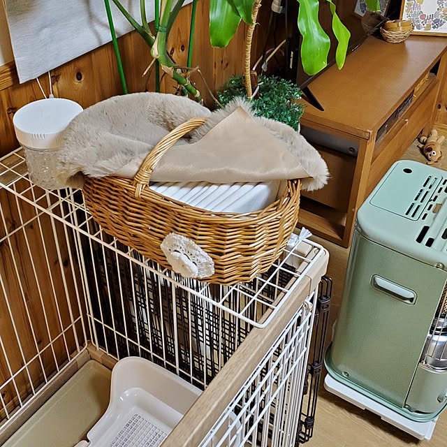 satosanさんの実例写真