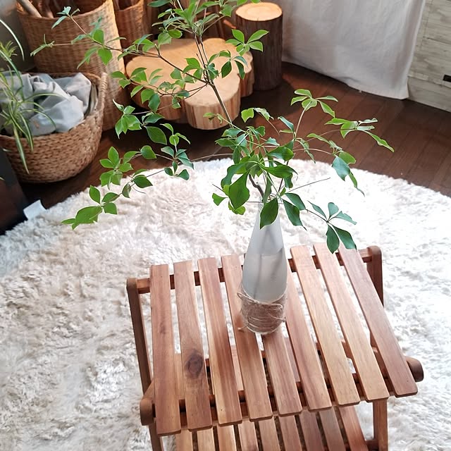 midoriさんの部屋