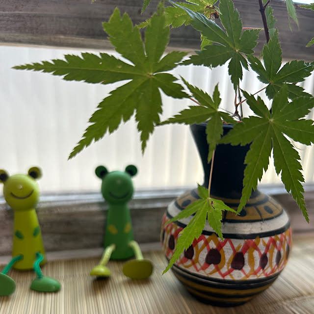 Fumiさんの部屋