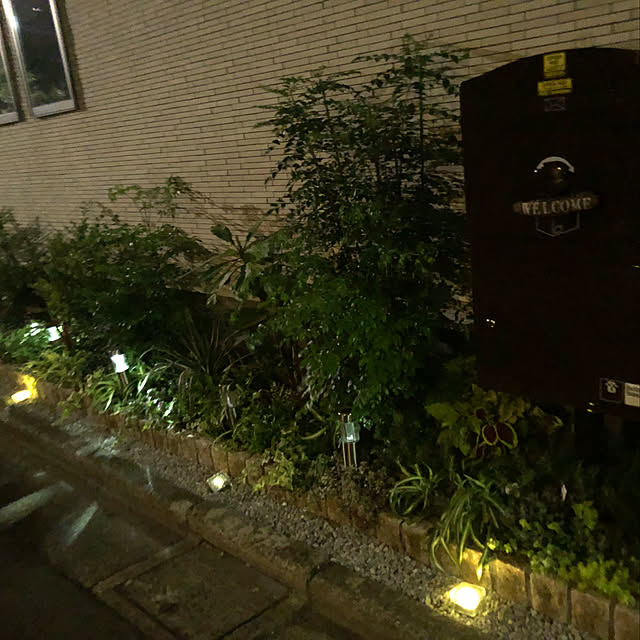norinoさんの実例写真