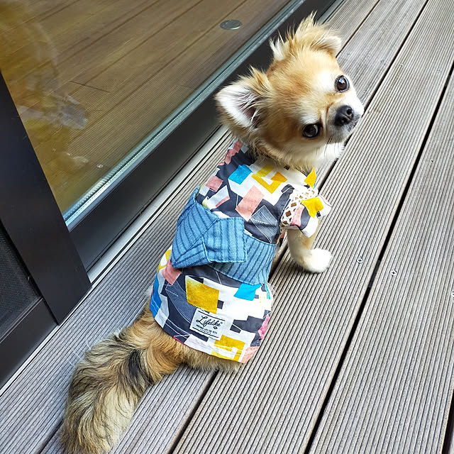 mihomoguさんの実例写真