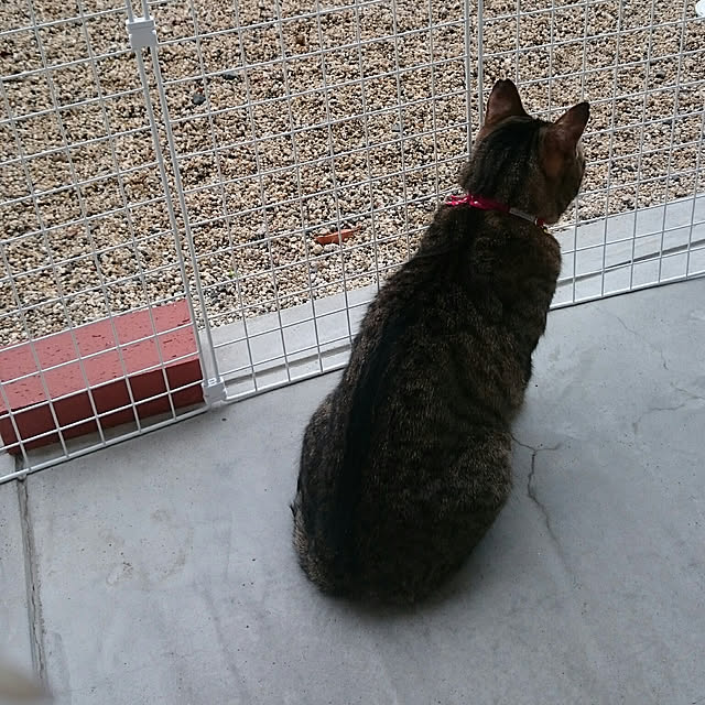 lilyさんの実例写真