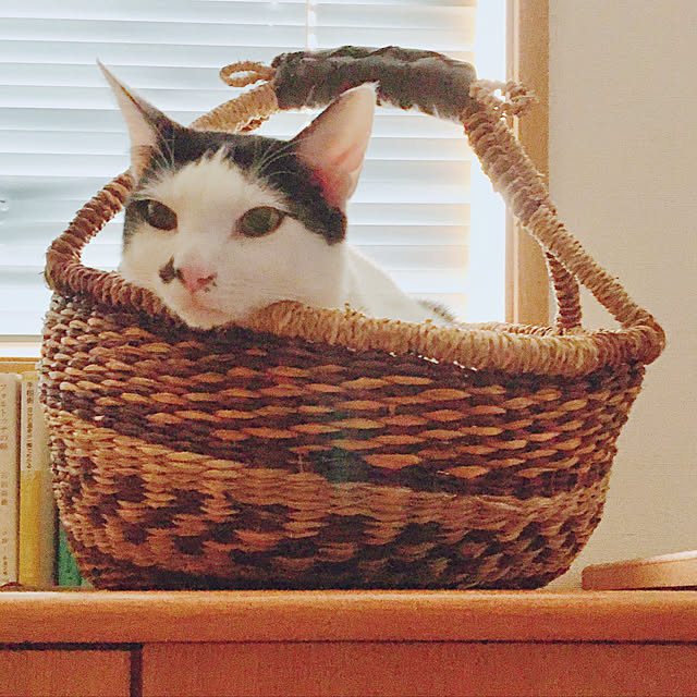 nobikoさんの実例写真