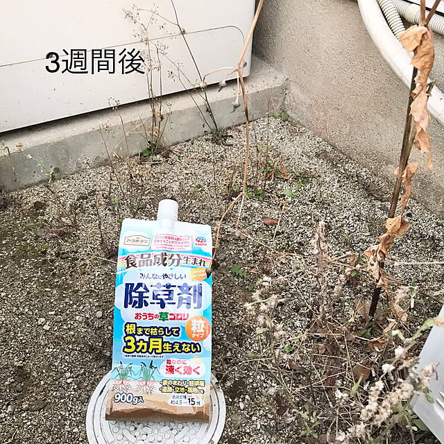 tararaさんの実例写真