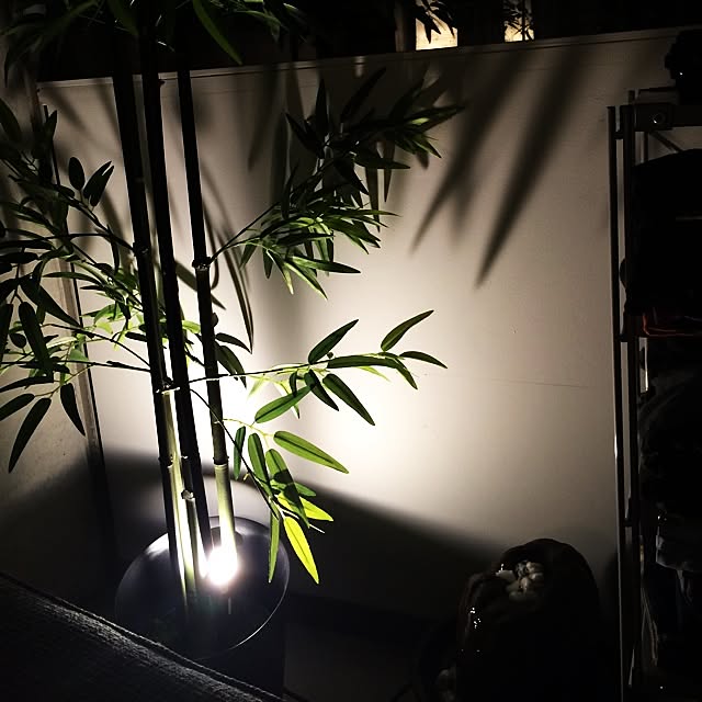 KUSANAGIさんの実例写真