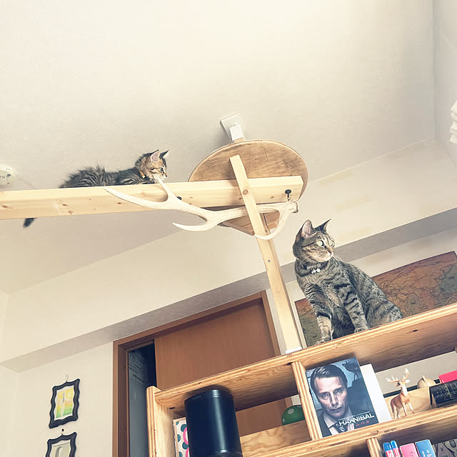 Mさんの部屋