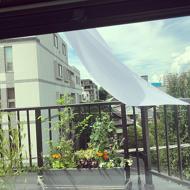 taimeinomeiさんの実例写真