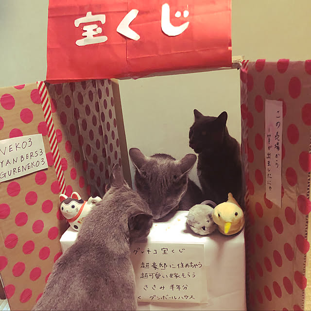 roshi3さんの実例写真