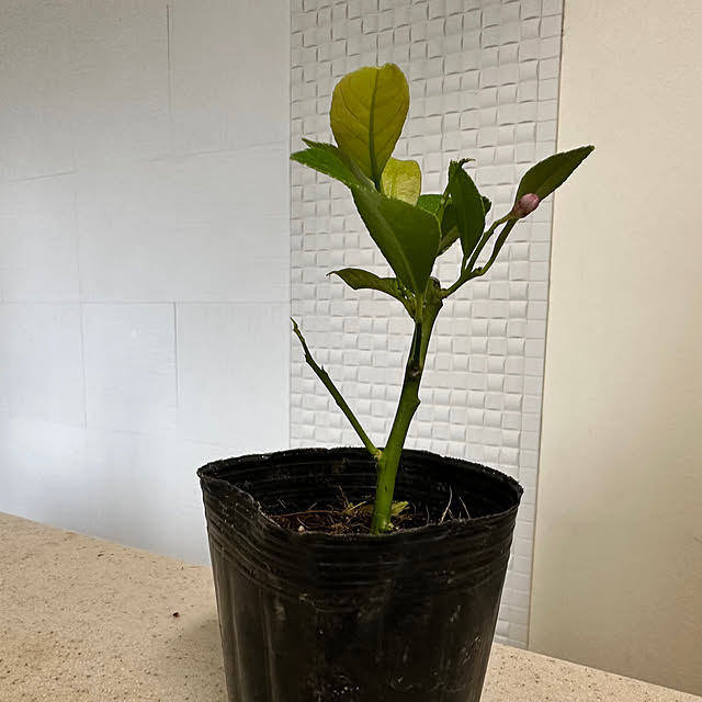 mizucchiさんの部屋