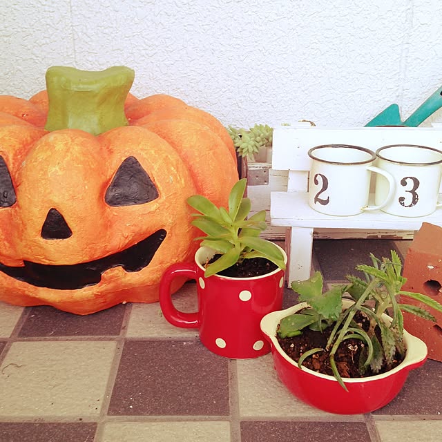 玄関/入り口/植物/ハロウィンデコレーション/100均/多肉植物のインテリア実例 - 2014-10-20 17:04:54