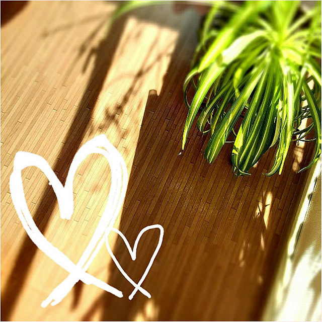 部屋全体/観葉植物/ナチュラルのインテリア実例 - 2021-03-09 18:21:48