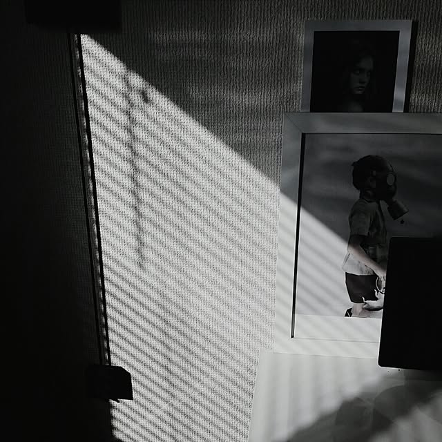 erixonさんの実例写真
