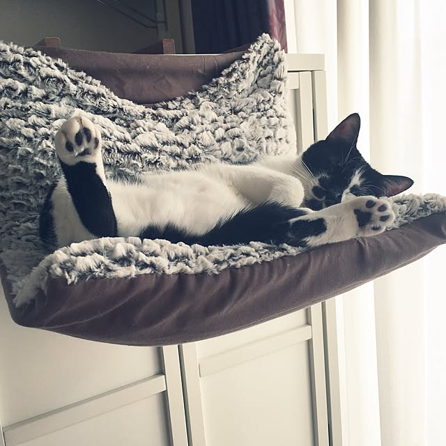 mikomaruさんの実例写真