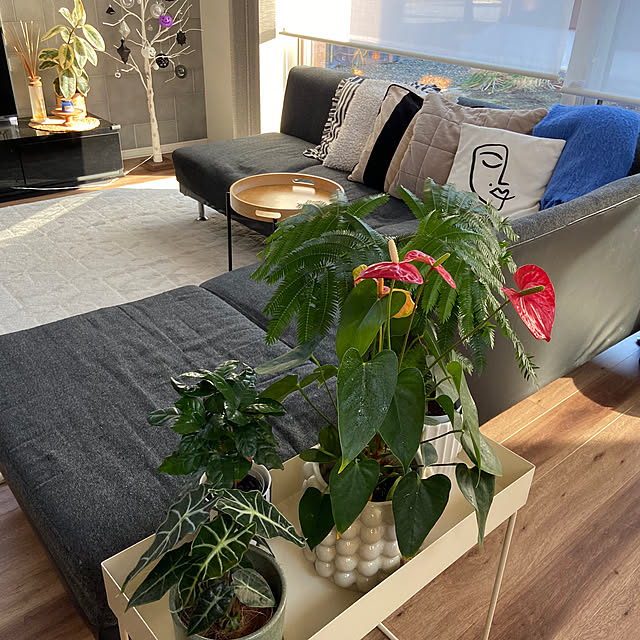 kahomeさんの部屋