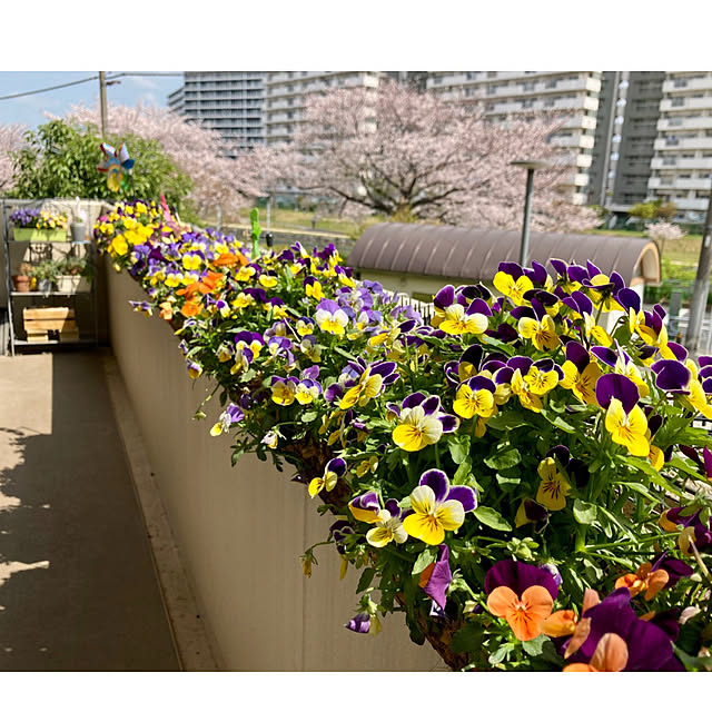 marukoさんの部屋